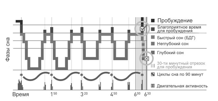 Сколько нужно фрагментов для пробуждения. Фазы сна по продолжительности. Стадии и циклы сна. Фазы сна по времени. Циклы сна для пробуждения.