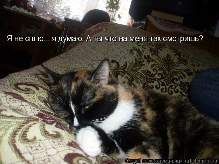 Музыка меня прет. Песня призраков не существует ямаугли. Музыка меня прет. Музыка меня прет. Музыка меня прет.