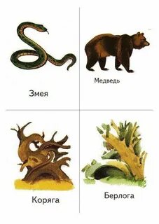 Дома диких животных