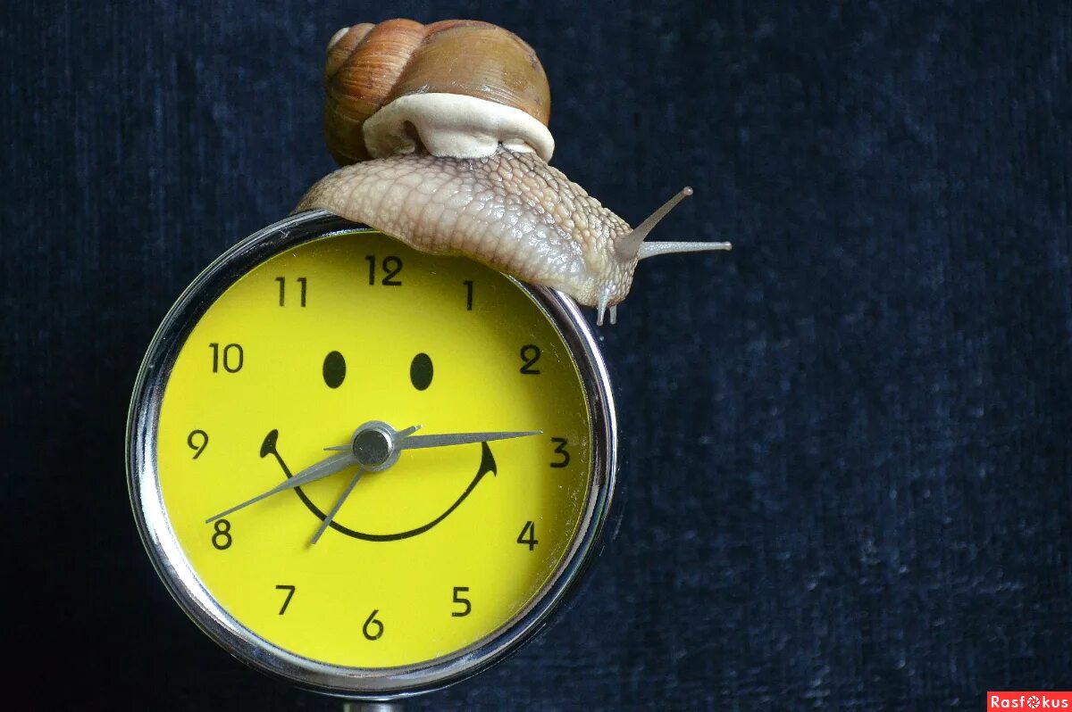 Как надо найти часы. Сколько времени?. Стрелочные часы на 24 часа. Определение времени по часам. Как надо найти часы.