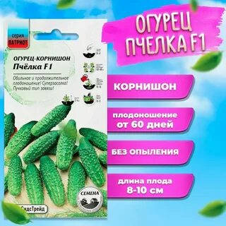 Огурец пчела