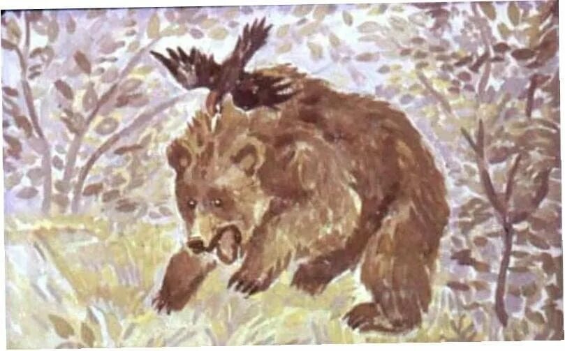 Паустовский дремучий медведь книга. Дремучий медведь паустовский. Дремучий медведь паустовский иллюстрация к рассказу. К г паустовский дремучий медведь. Там где мечтают медведи краткое содержание.