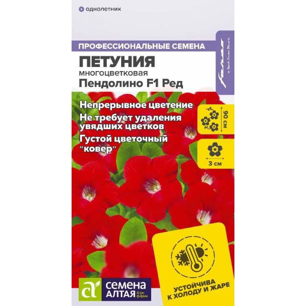 Петуния пендолино ред f1. Петуния пендолино смесь f1. Петуния пендолино f1 виолет айс многоцветковая/сем. Петуния мини пикколино f1 голубая. Петуния пендолино лиловая f1.