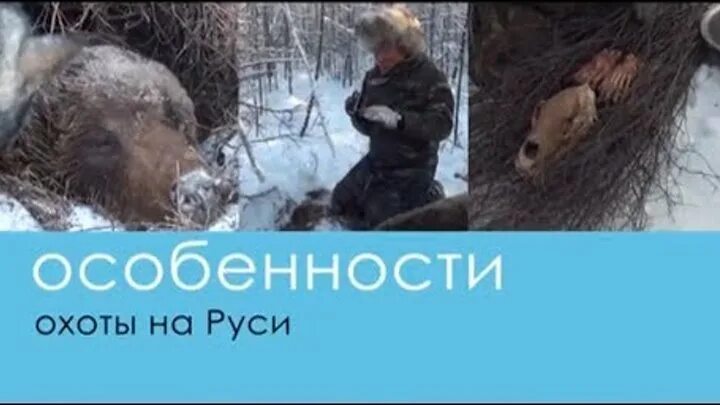 Натуралистов поражала огэ ответы. Охота в Якутии Пушной промысел. Особенности охоты на Руси. Охота на пушнину в Якутии. Особенности охоты.