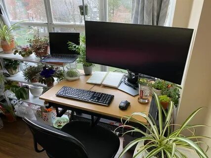 Setup homes