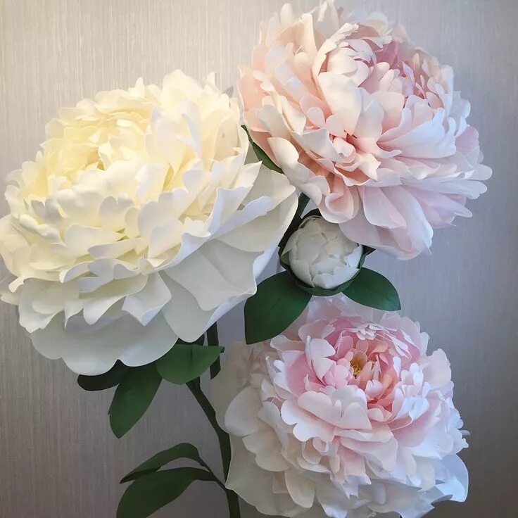 Flor paso a paso peony tutorial Tutorial flor de azúcar, Tutorial para flor de f