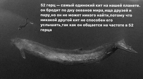 52 герца сколько