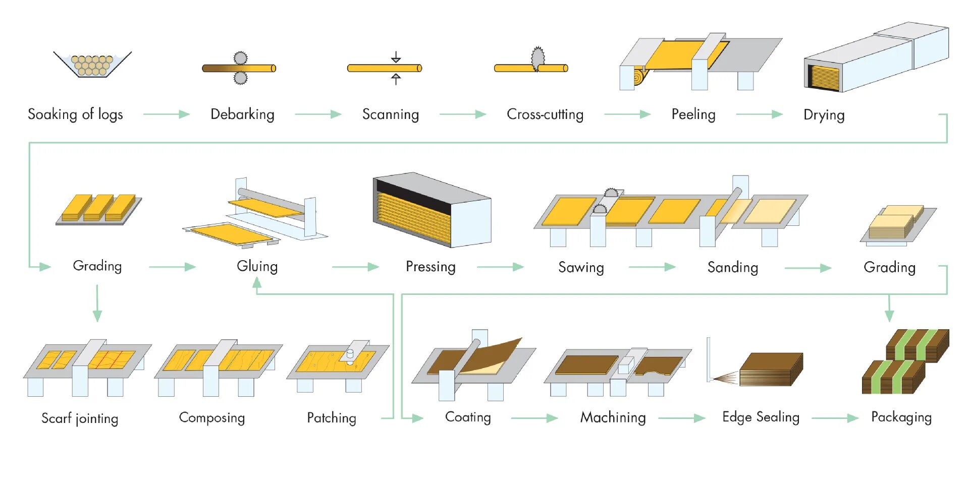 Строение фанеры. Схема получения шпона. Схема фанеры. Схема укладки фанеры на пол. Схема фанеры.