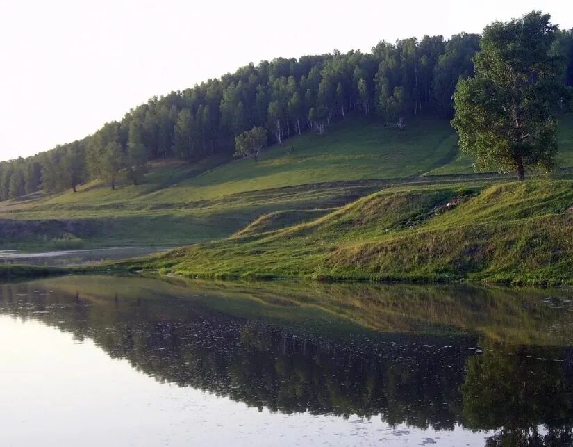 Нагорное сельское поселение. Село нагорное омская область. село нагорное тарского района омской области. омская область тарский район природа. деревня нагорная тарского района омской области.