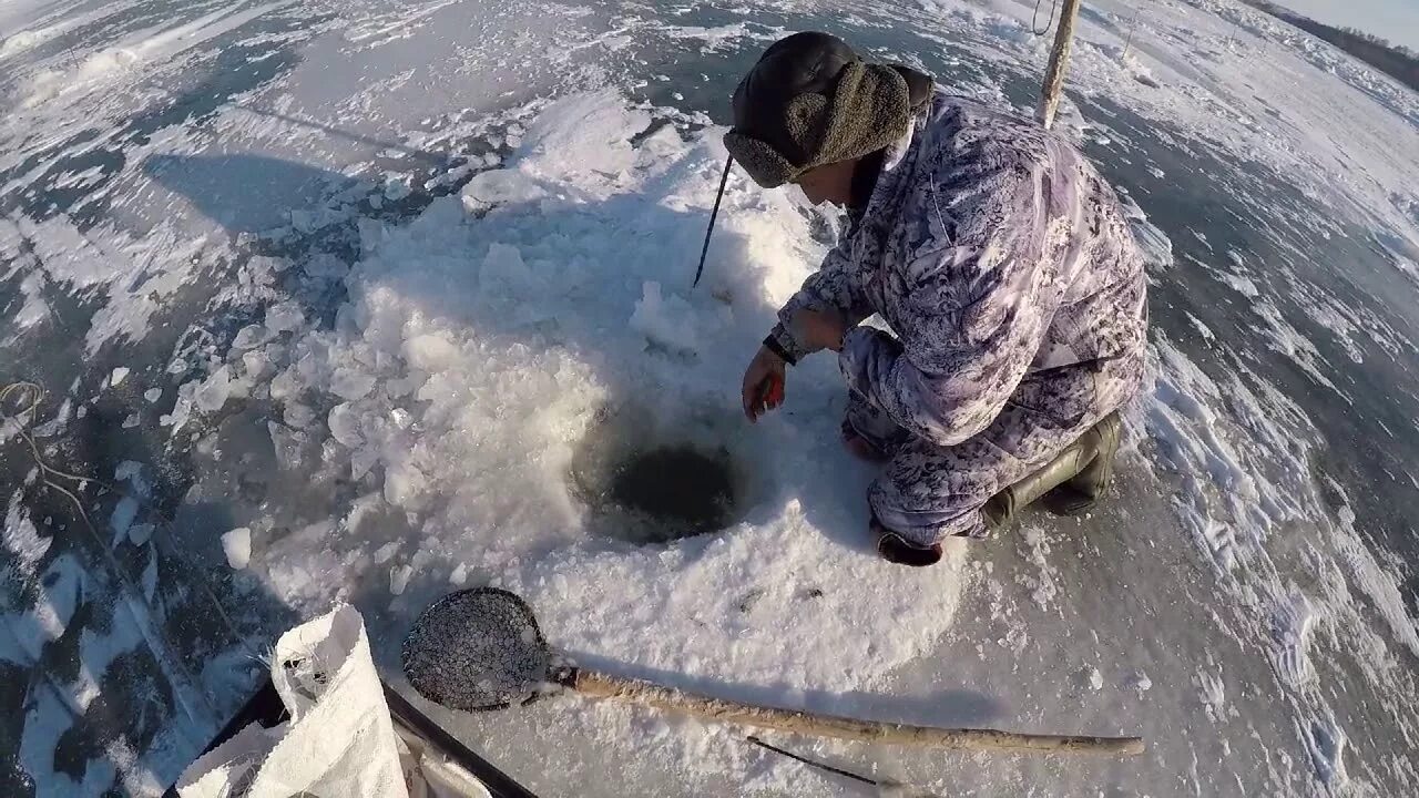 Алтайский край река Обь рыбалка. Рыбалка на Оби в Алтайском крае. Зимняя рыбалка Алтайский край. Зимняя рыбалка на Оби 2020. Рыбалка в крае видео