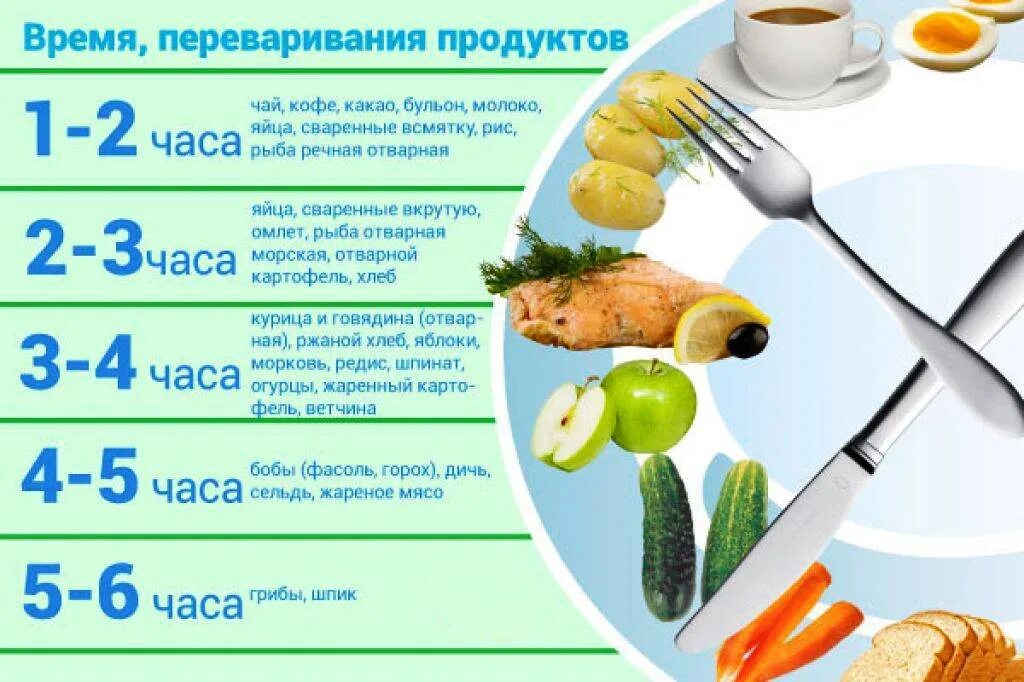 Кушать через 2 часа. Таблица переваривания продуктов. Сколько переваривается пища. Сколько переваривается пища в желудке. Сколько времени переваривается пища.