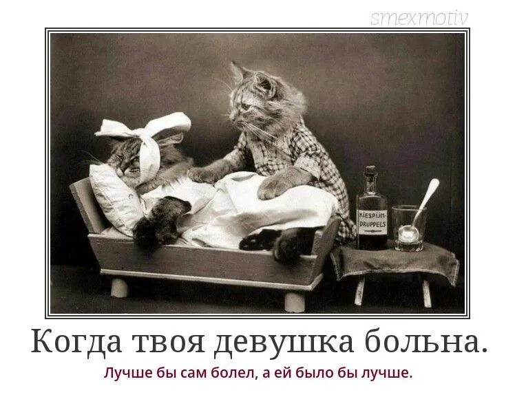 У меня вообще не болит. Смешные фразы про врачей. У меня вообще не болит. Болит живот прикол. У меня вообще не болит.