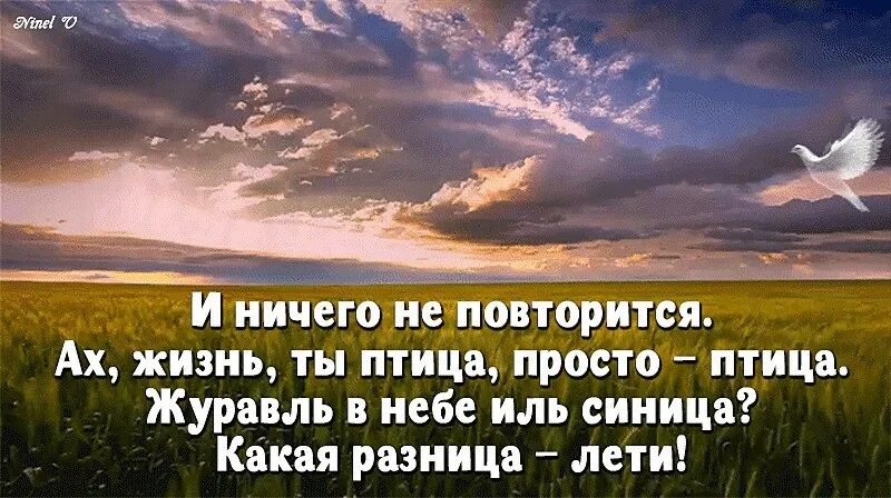 Ах, жизнь, ты птица, просто – птица. Люби жизнь. Жизнь повторяется. Позитивные перемены. Жизнь повторяется.