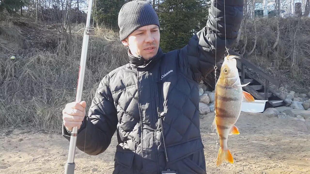 Ловля на неве. Рыбалка на Неве в Кировске. Кировск рыбалка. Фидер на хищника.