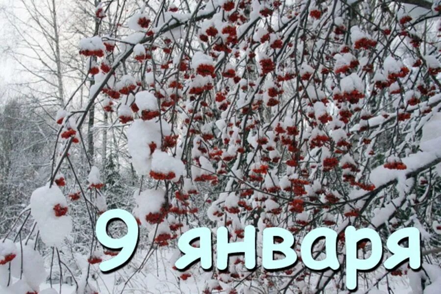 После январь что будет. 9 Января. 9 Января Дата. 9 Января картинки. 09 Января день.