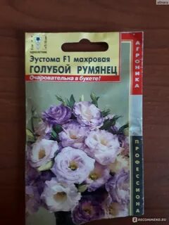 Семена эустомы