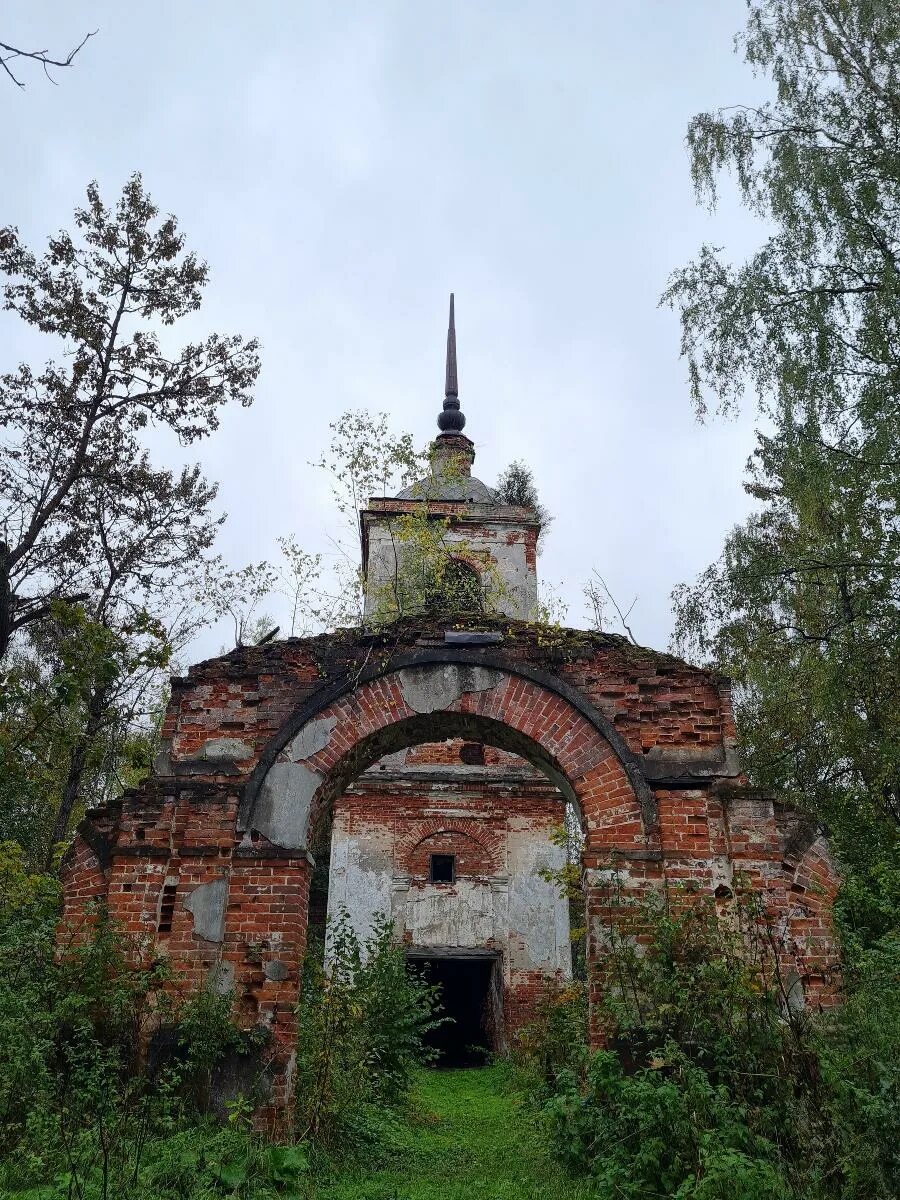 Животноводческое русилово смоленский р он. Деревня русилово смоленская область. Кукурузное поле в русилово смоленский р он. Деревня русилово смоленская область. Погода русилово смоленская область.