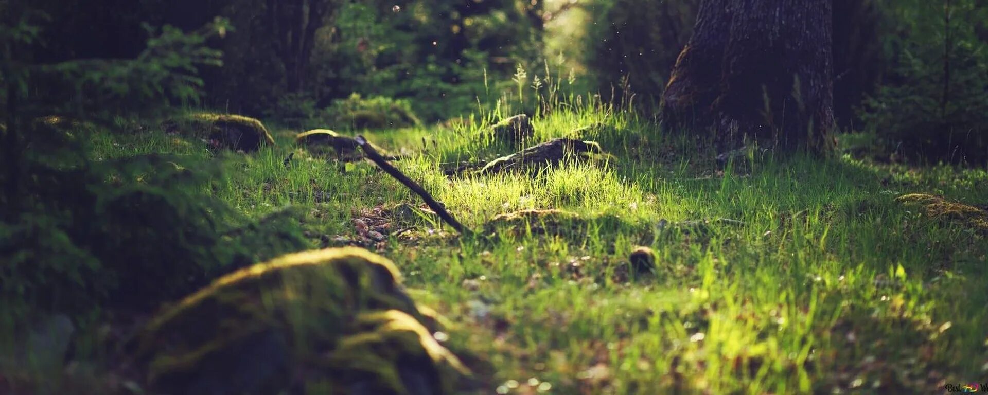 Find over