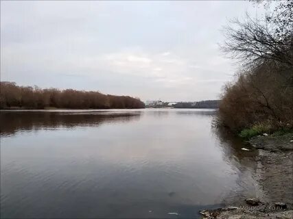 Столица в устье реки