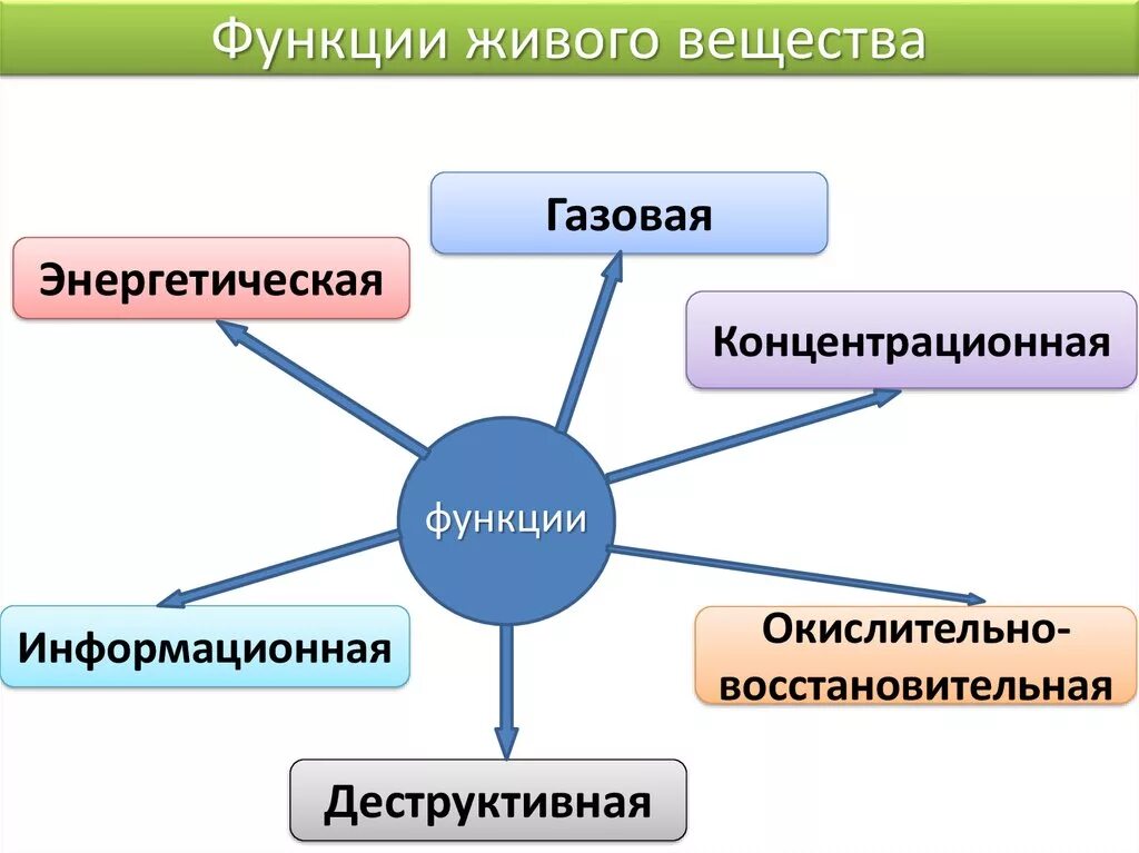 Факторы живого организма основные. Функции живого вещества схема. 5 Функций живого вещества. Функции живого вещества в биосфере схема. Биосферные функции живого вещества.