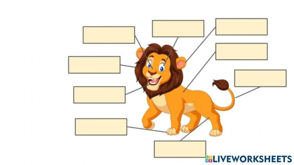 Animal body parts for kids. Parts of animal body. Parts of animal body. Parts of animal body. Animal body parts.