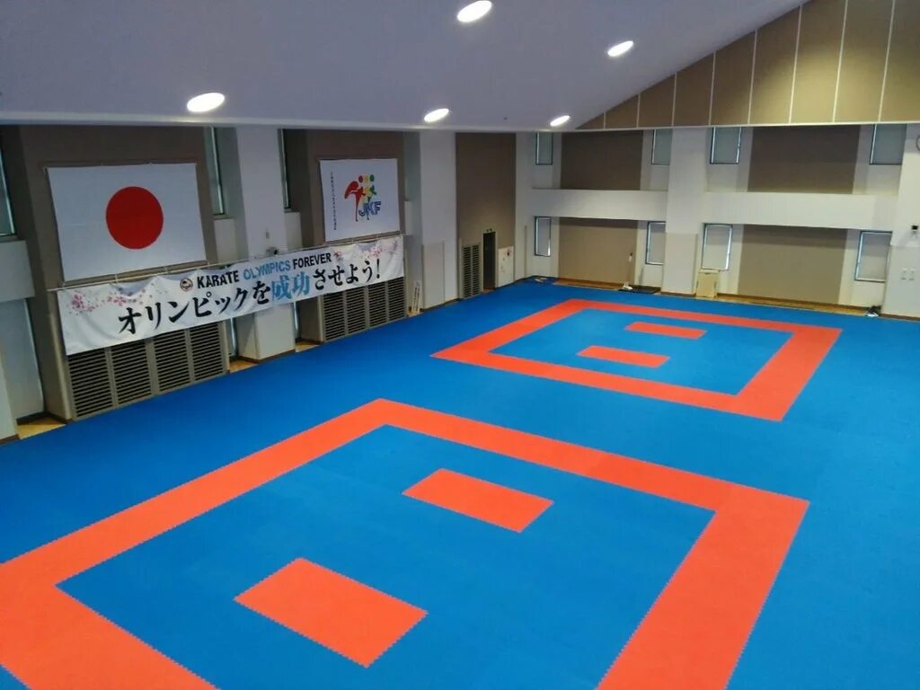 Даянг. Каратэ wkf татами. татами игуса. даянг для тхэквондо. октагон для татами.