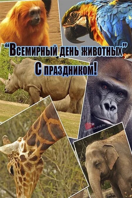 Какой праздник животных. Всемирный день защиты животных картинки. всемирный день защиты животных 2025. открытки всемирный день животных 4 октября. всемирный день животных 2025 картинки.