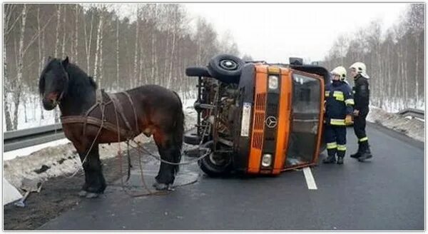 Лошадиные силы автобуса