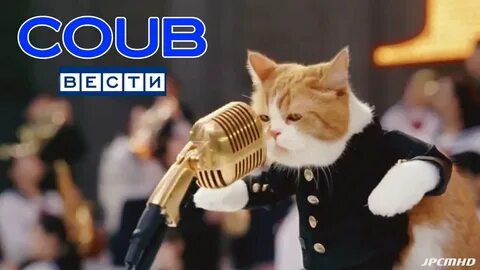 Coub приколы