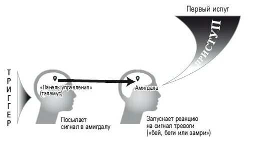 Реакция на стресс замри