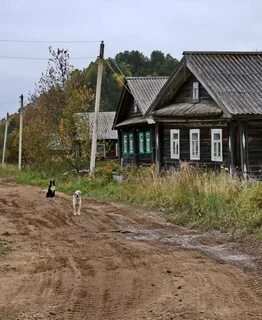 Медвежьегорском районе