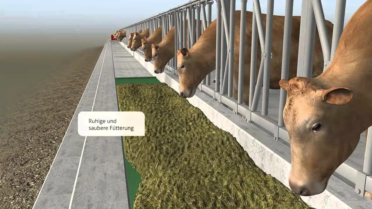 Feed работало. Gea dairyfeed f4500. дейри фидер. v-dairy feeder. cattle feed measure infographics.
