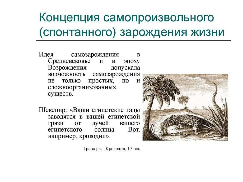 Происхождение жизни самопроизвольно. Гипотеза спонтанного зарождения жизни. Гипотеза самопроизвольного зарождения жизни на земле. Гипотеза самопроизвольное Возрождение жизни. Концепция самопроизвольного (спонтанного) зарождения жизни.