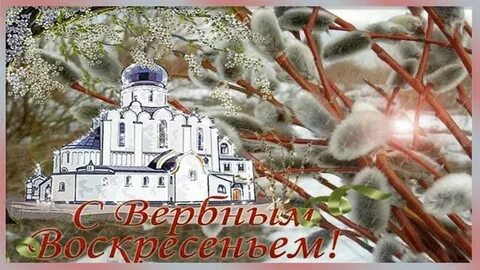С наступающим вербным днем