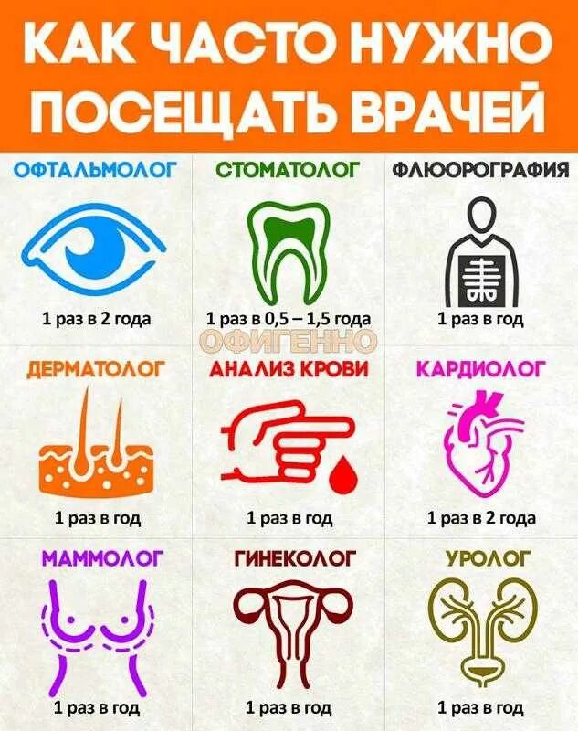 Как часто надо проверять. Как часто надо посещать врачей. каких врачей нужно проходить каждый год. каких врачей нужно проходить раз в год. как часто нужно посещать терапевта?.