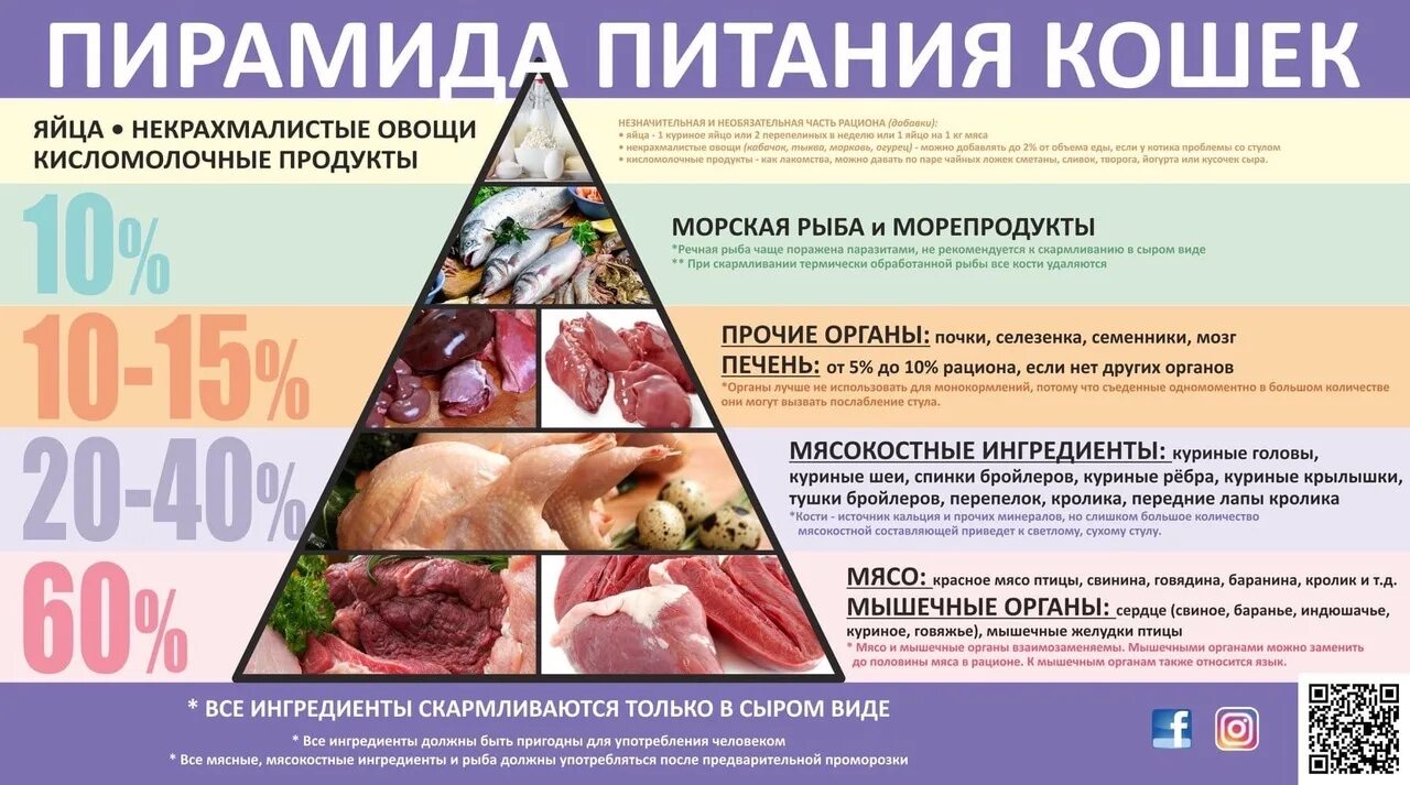 Сколько мясо можно