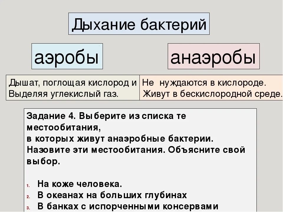 Аэробы и анаэробы. Аэробы и анаэробы схема. Аэробные и анаэробные организмы. Дыхание бактерий аэробы анаэробы. Этапы анаэробных организмов