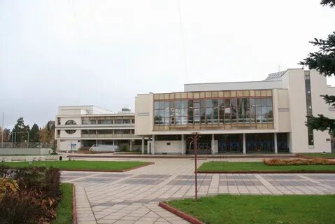 Зеленоград дворец творчества детей и молодежи
