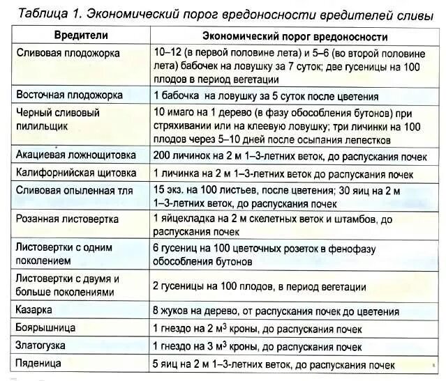 Чем обработать сливу после цветения. Обработка плодовых деревьев весной от вредителей и болезней таблица. График обработки плодовых деревьев от вредителей и болезней.