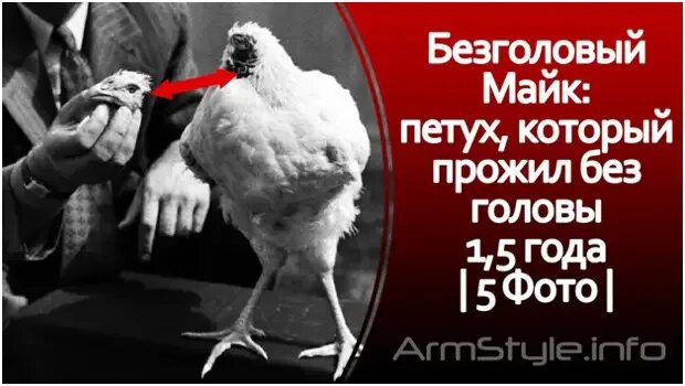 Карлос «половинный» родригес. Мужик без половины головы. Карлос родригес без мозга. Китайцы люди. Карлос родригес.
