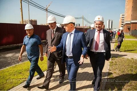 Компания стройтрест