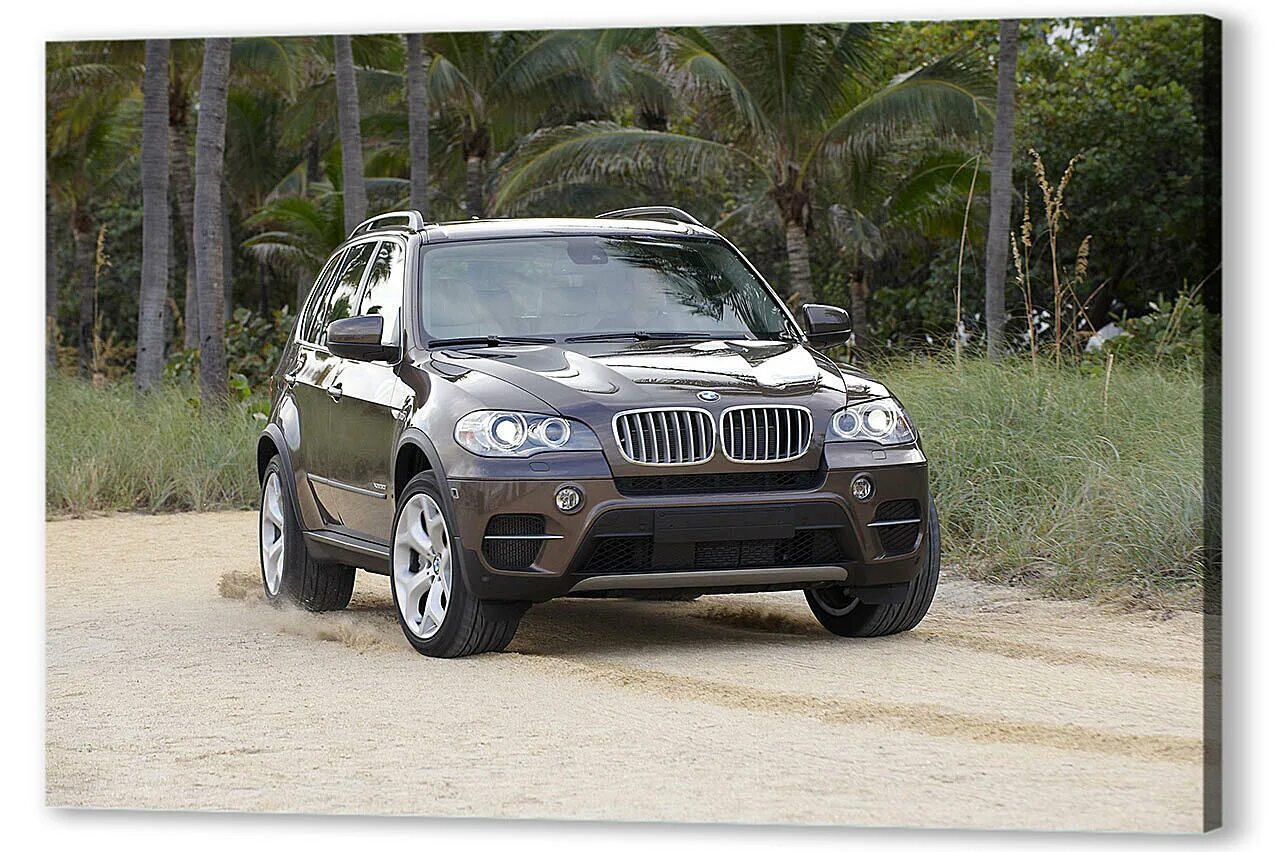 BMW x5 2011. BMW x5m 2011. BMW x5 2010. BMW x5m 2010. X 5 0.5 x 1