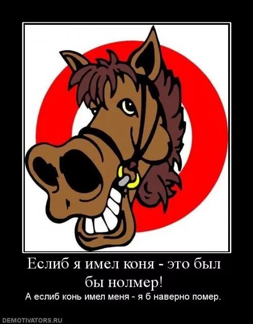 Если б имел коня. Иметь коня. Конь имел меня. Если б я имел коня это был бы. Если б я имел коня это был