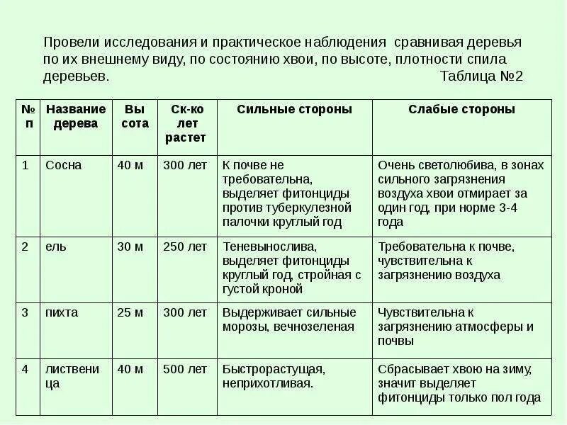 Продолжительность жизни деревьев - Strela-Sport.ru