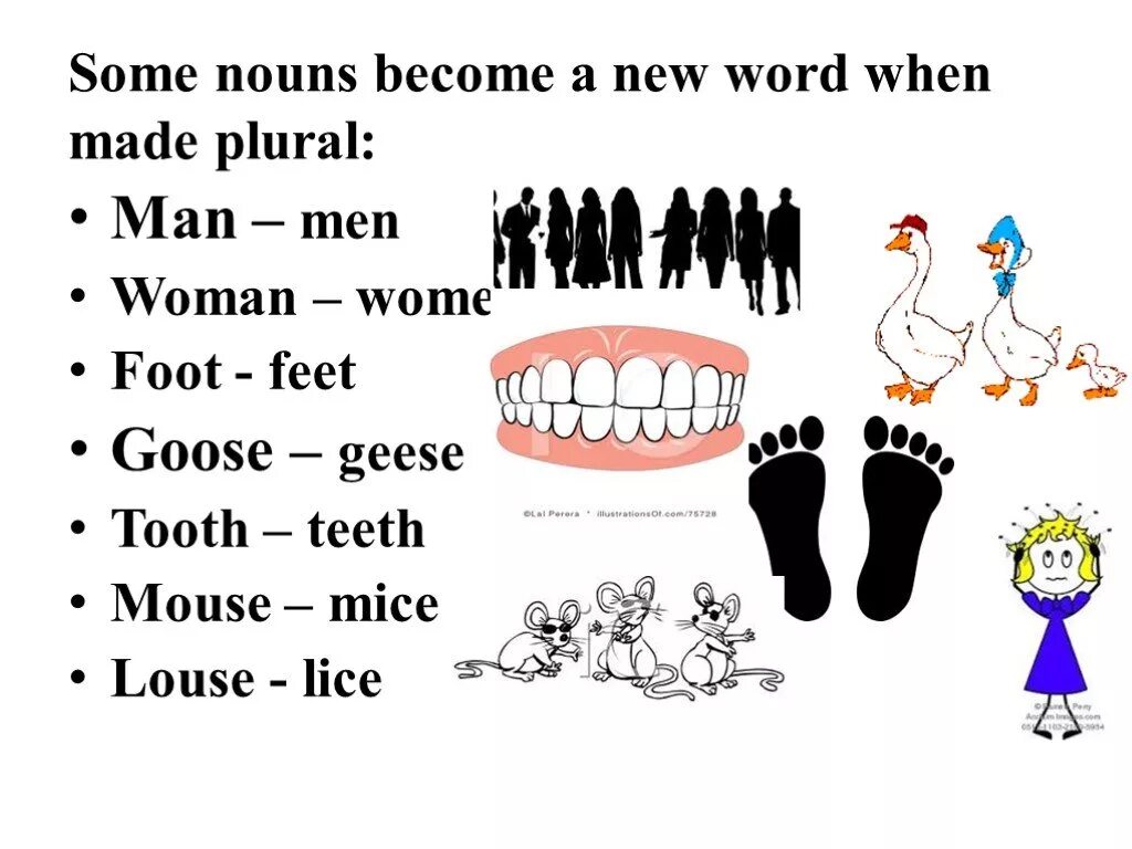 Foot на английском языке. Teeth in plural на английском. Plural Nouns English. Plural Nouns презентация. Foot по английски