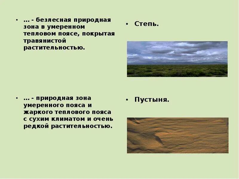 Природные зоны умеренного пояса пустыни полупустыни. Безлесная природная зона. Безлесные зоны умеренного пояса. Безлесные природные зоны умеренного пояса. Главной причиной безлесья в степной зоне является