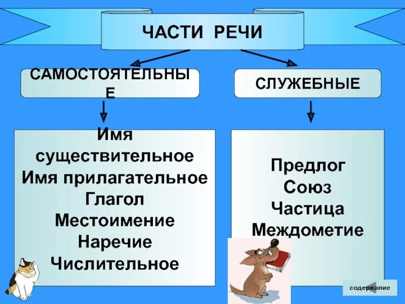 Служебные части речи отвечают на вопрос. Служебные части речи предлоги Союзы частицы. Союз и предлог это части речи. Предлоги Союзы частицы междометия. Служебные части речи таблица.