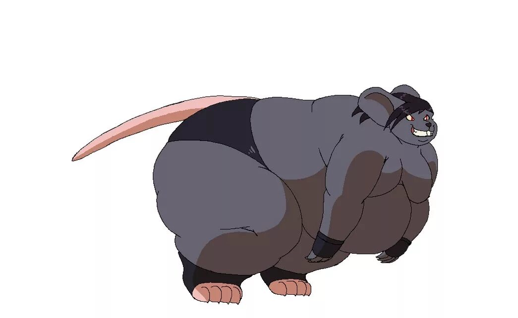 Жир мыши. Толстая крыса. Толстая крыска.