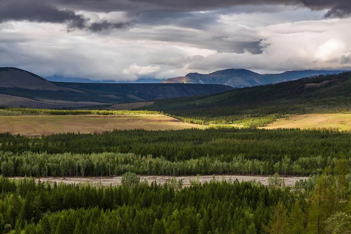 характеристика природы якутии. климат якутии презентация. республика саха якутия зима. климат республики саха. оймякон полюс холода.
