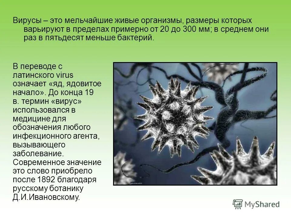 Вирус является живым организмом. Вирусы живые. Вирусы это организмы которые. Вирусы это живые организмы или нет. Информация о вирусах.